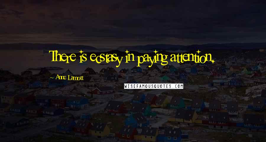 Anne Lamott Quotes: There is ecstasy in paying attention.