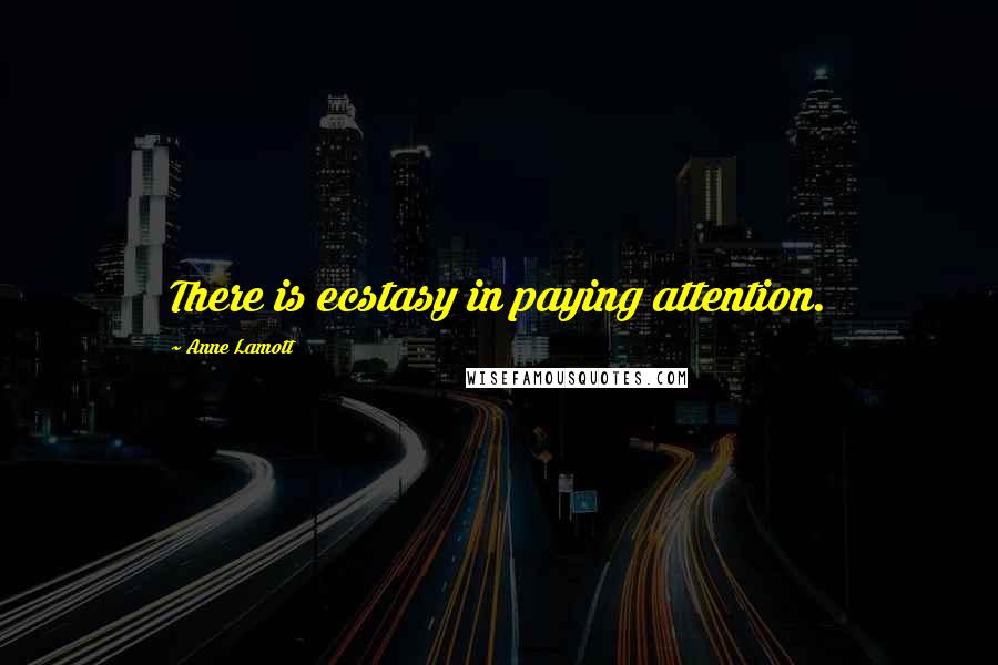 Anne Lamott Quotes: There is ecstasy in paying attention.