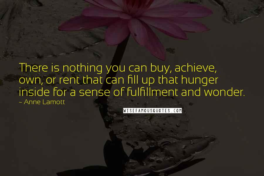 Anne Lamott Quotes: There is nothing you can buy, achieve, own, or rent that can fill up that hunger inside for a sense of fulfillment and wonder.