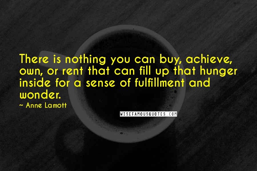 Anne Lamott Quotes: There is nothing you can buy, achieve, own, or rent that can fill up that hunger inside for a sense of fulfillment and wonder.