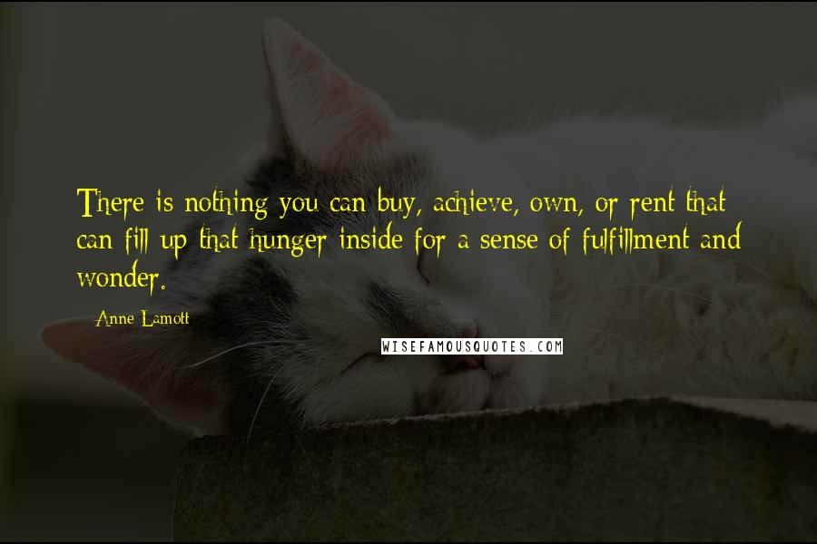 Anne Lamott Quotes: There is nothing you can buy, achieve, own, or rent that can fill up that hunger inside for a sense of fulfillment and wonder.