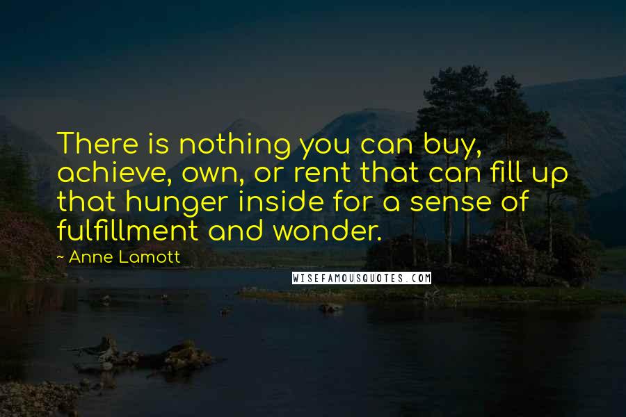 Anne Lamott Quotes: There is nothing you can buy, achieve, own, or rent that can fill up that hunger inside for a sense of fulfillment and wonder.