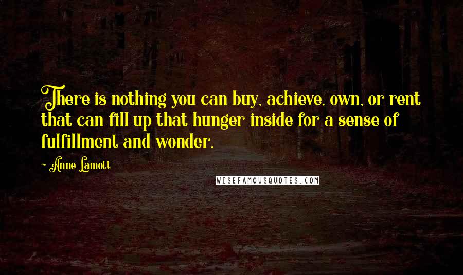 Anne Lamott Quotes: There is nothing you can buy, achieve, own, or rent that can fill up that hunger inside for a sense of fulfillment and wonder.