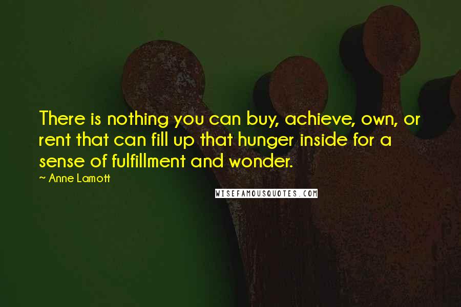 Anne Lamott Quotes: There is nothing you can buy, achieve, own, or rent that can fill up that hunger inside for a sense of fulfillment and wonder.