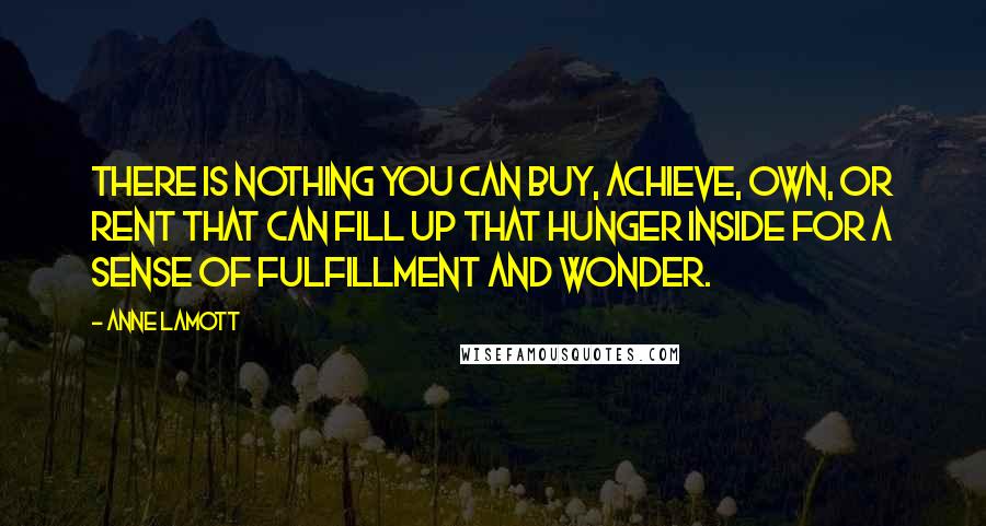 Anne Lamott Quotes: There is nothing you can buy, achieve, own, or rent that can fill up that hunger inside for a sense of fulfillment and wonder.