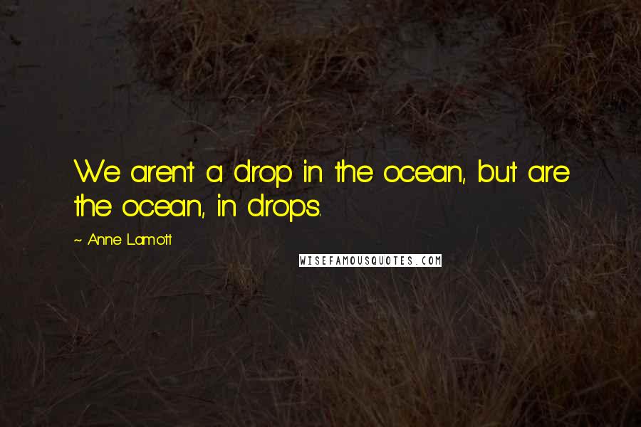 Anne Lamott Quotes: We aren't a drop in the ocean, but are the ocean, in drops.