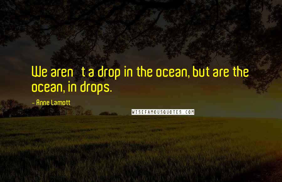 Anne Lamott Quotes: We aren't a drop in the ocean, but are the ocean, in drops.