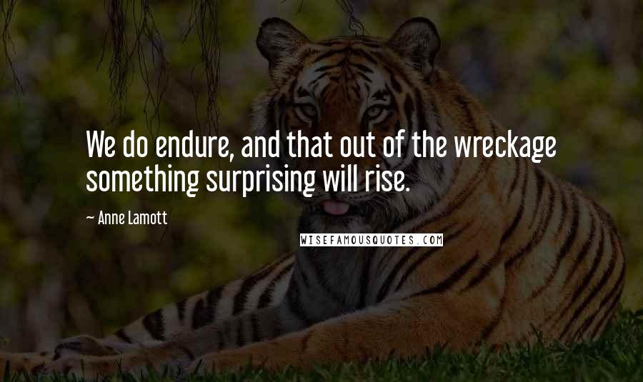 Anne Lamott Quotes: We do endure, and that out of the wreckage something surprising will rise.