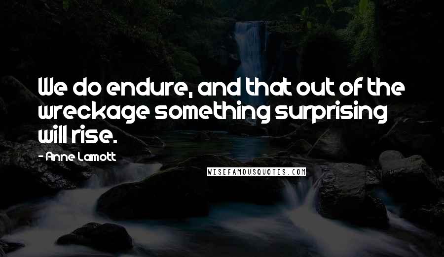 Anne Lamott Quotes: We do endure, and that out of the wreckage something surprising will rise.