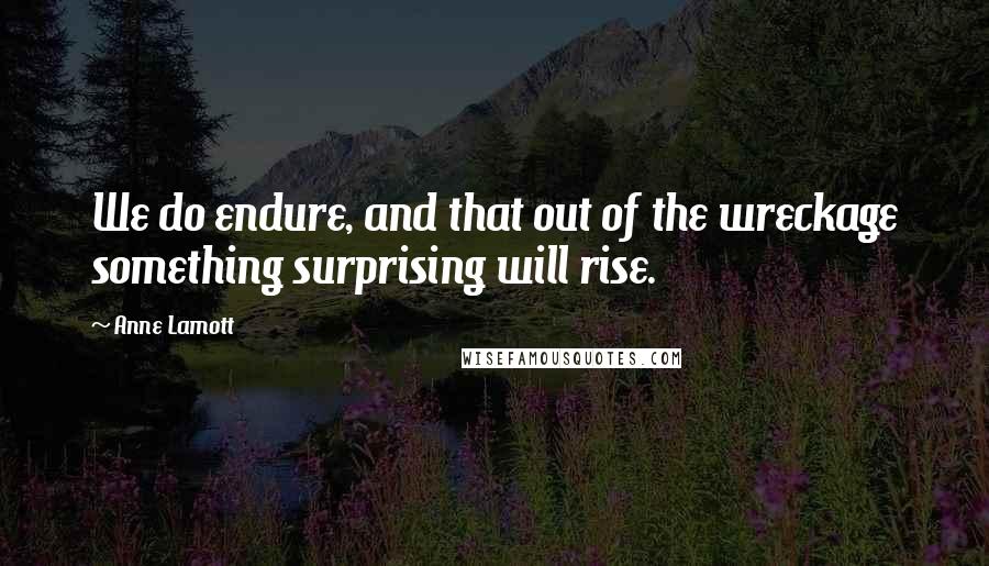 Anne Lamott Quotes: We do endure, and that out of the wreckage something surprising will rise.