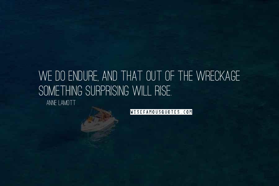 Anne Lamott Quotes: We do endure, and that out of the wreckage something surprising will rise.