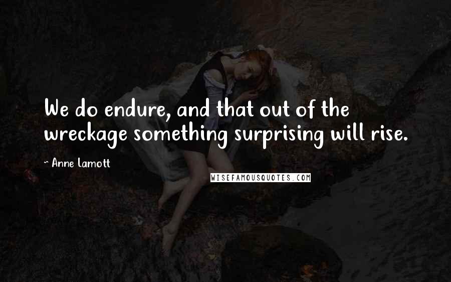 Anne Lamott Quotes: We do endure, and that out of the wreckage something surprising will rise.