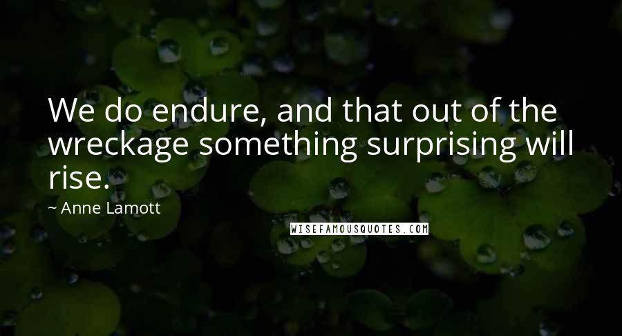 Anne Lamott Quotes: We do endure, and that out of the wreckage something surprising will rise.