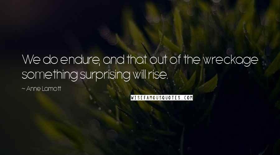 Anne Lamott Quotes: We do endure, and that out of the wreckage something surprising will rise.