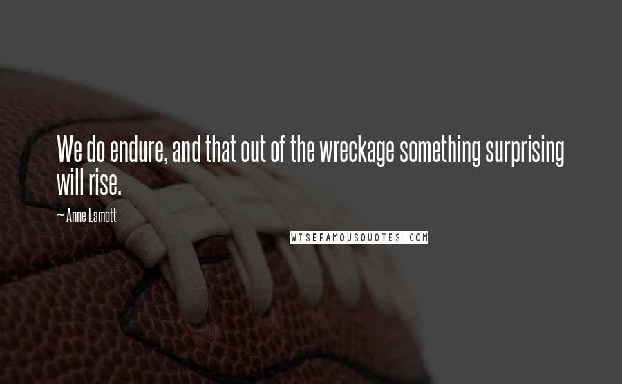 Anne Lamott Quotes: We do endure, and that out of the wreckage something surprising will rise.