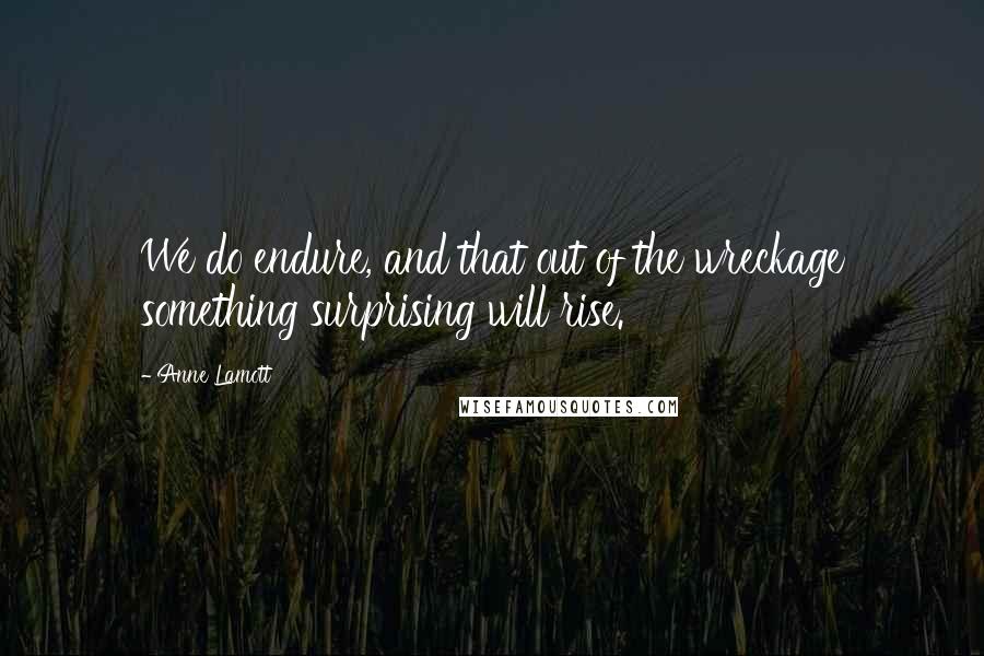 Anne Lamott Quotes: We do endure, and that out of the wreckage something surprising will rise.