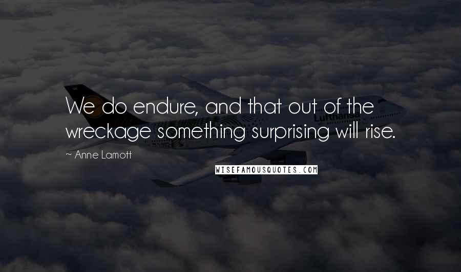 Anne Lamott Quotes: We do endure, and that out of the wreckage something surprising will rise.