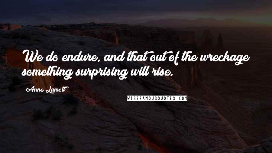 Anne Lamott Quotes: We do endure, and that out of the wreckage something surprising will rise.