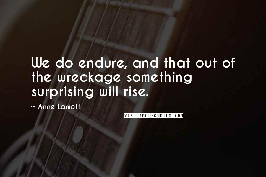 Anne Lamott Quotes: We do endure, and that out of the wreckage something surprising will rise.