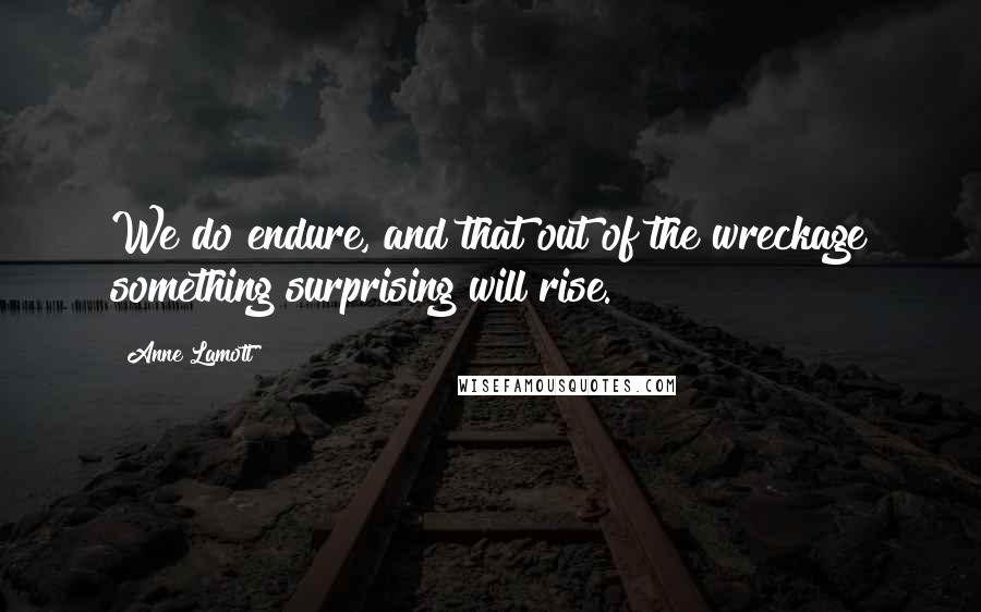 Anne Lamott Quotes: We do endure, and that out of the wreckage something surprising will rise.