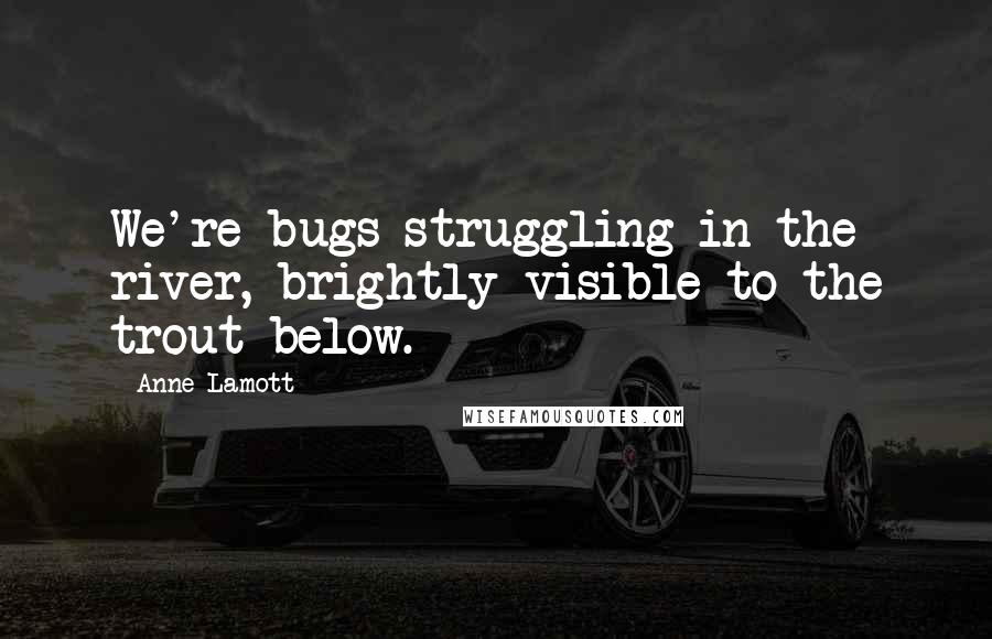 Anne Lamott Quotes: We're bugs struggling in the river, brightly visible to the trout below.