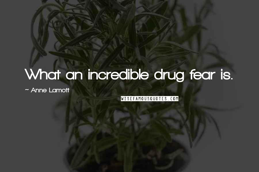 Anne Lamott Quotes: What an incredible drug fear is.