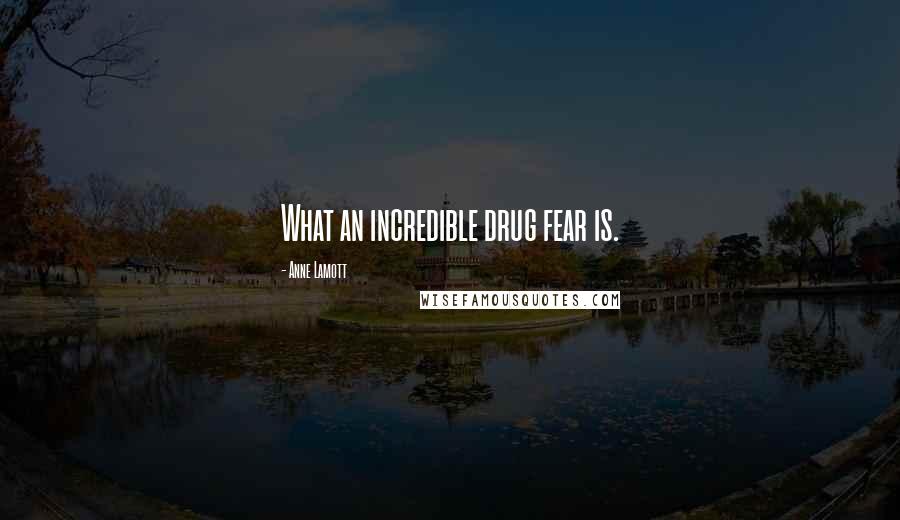 Anne Lamott Quotes: What an incredible drug fear is.