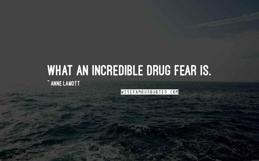 Anne Lamott Quotes: What an incredible drug fear is.