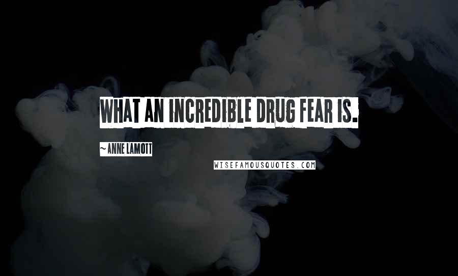 Anne Lamott Quotes: What an incredible drug fear is.