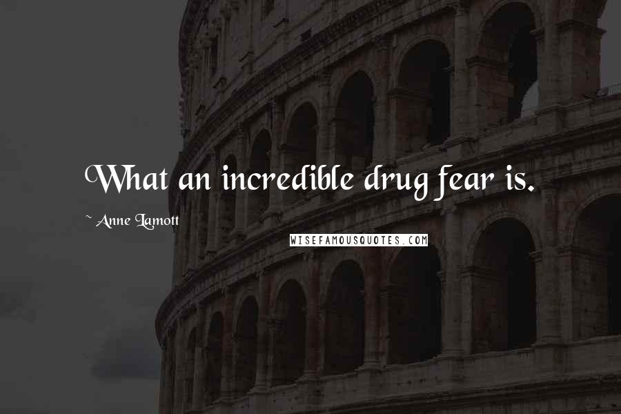 Anne Lamott Quotes: What an incredible drug fear is.