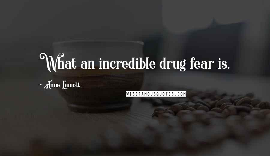 Anne Lamott Quotes: What an incredible drug fear is.