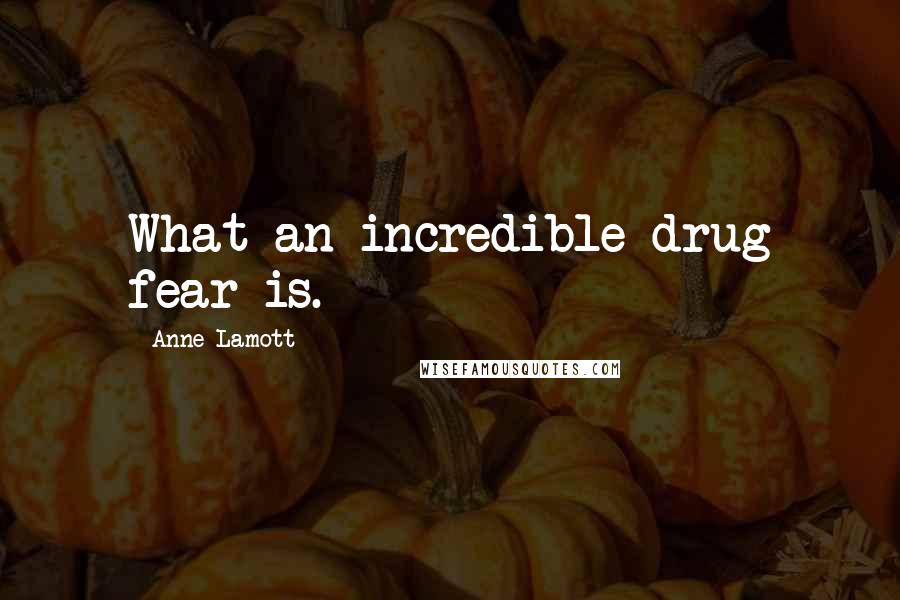 Anne Lamott Quotes: What an incredible drug fear is.