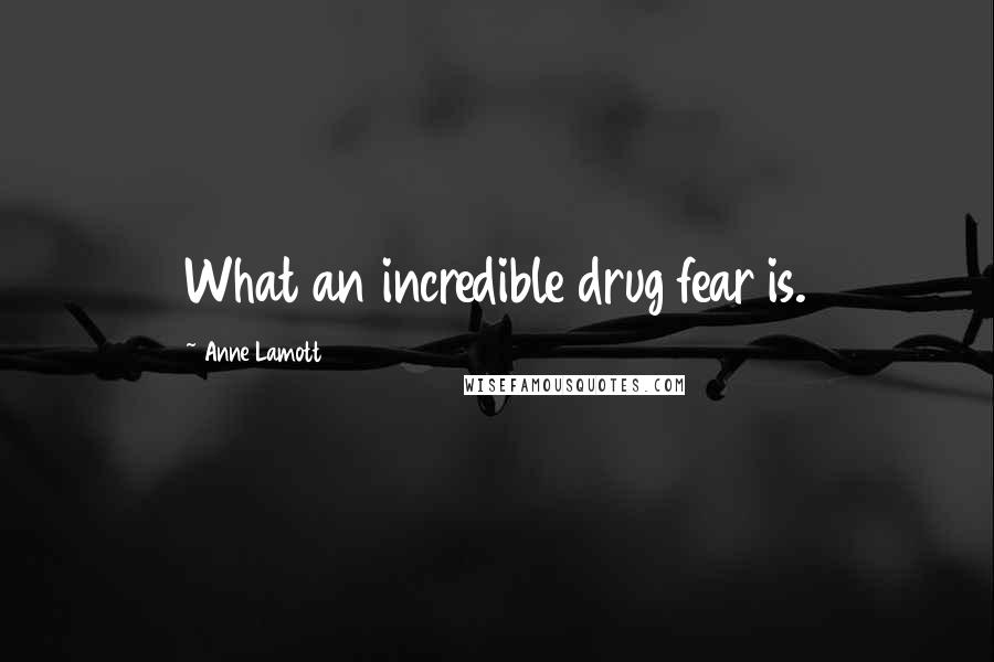 Anne Lamott Quotes: What an incredible drug fear is.