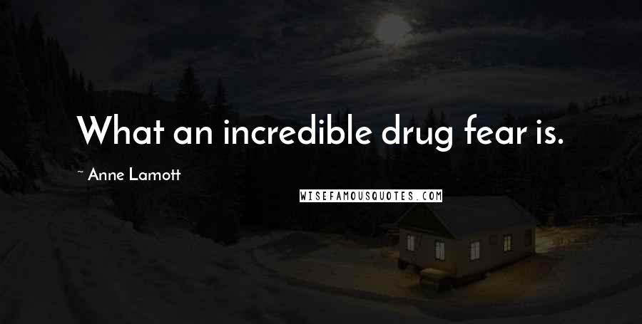 Anne Lamott Quotes: What an incredible drug fear is.