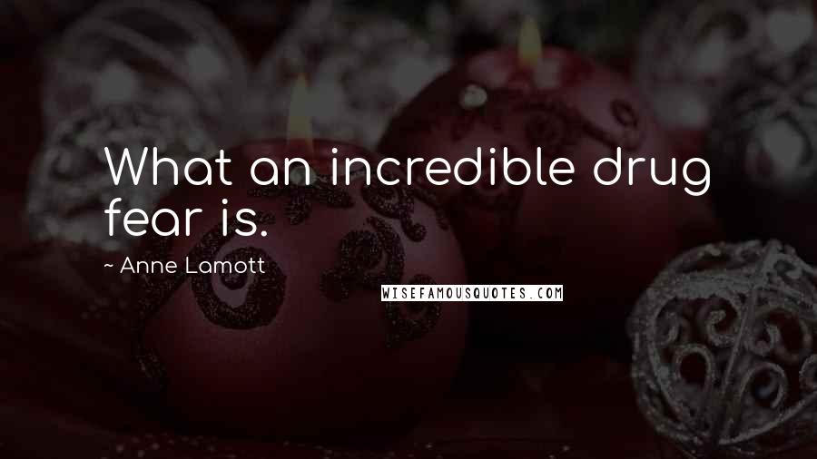 Anne Lamott Quotes: What an incredible drug fear is.
