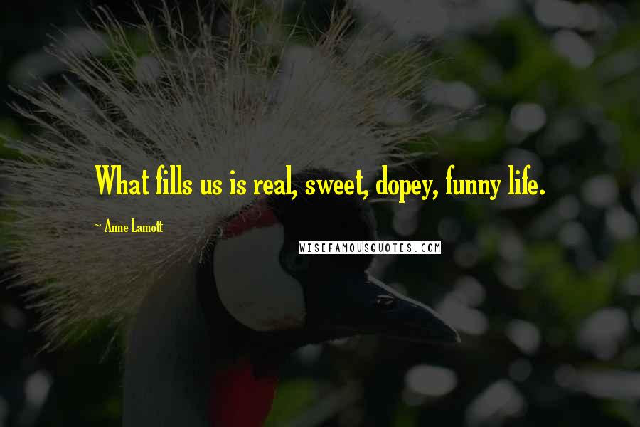 Anne Lamott Quotes: What fills us is real, sweet, dopey, funny life.