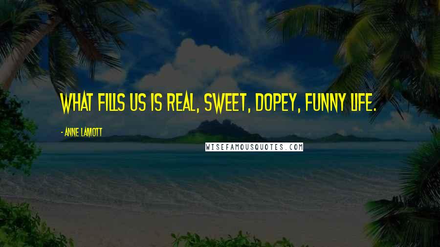 Anne Lamott Quotes: What fills us is real, sweet, dopey, funny life.