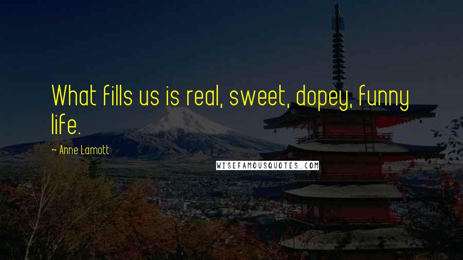 Anne Lamott Quotes: What fills us is real, sweet, dopey, funny life.