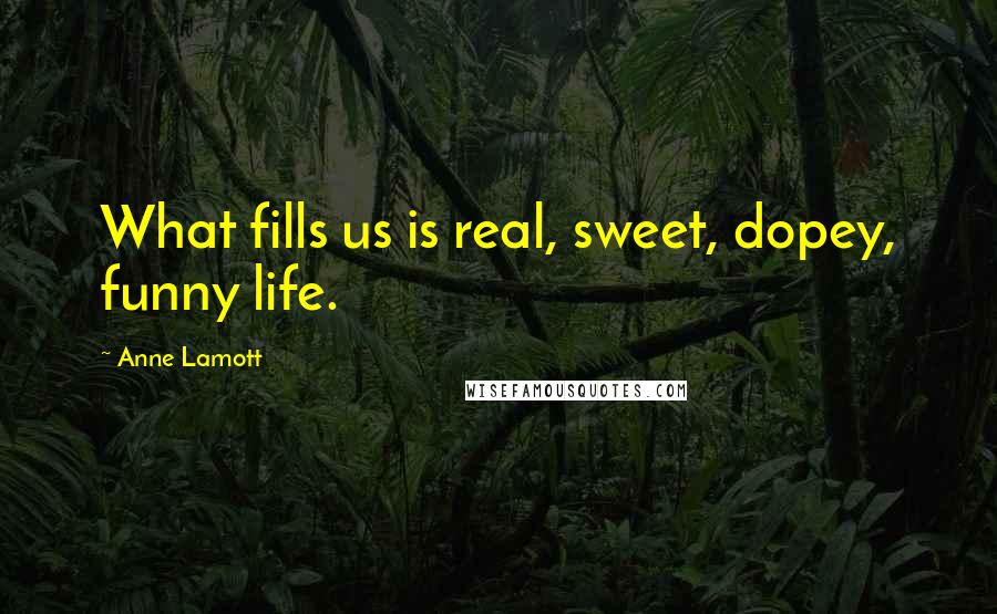 Anne Lamott Quotes: What fills us is real, sweet, dopey, funny life.