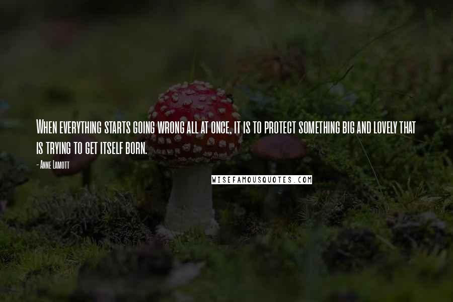 Anne Lamott Quotes: When everything starts going wrong all at once, it is to protect something big and lovely that is trying to get itself born.
