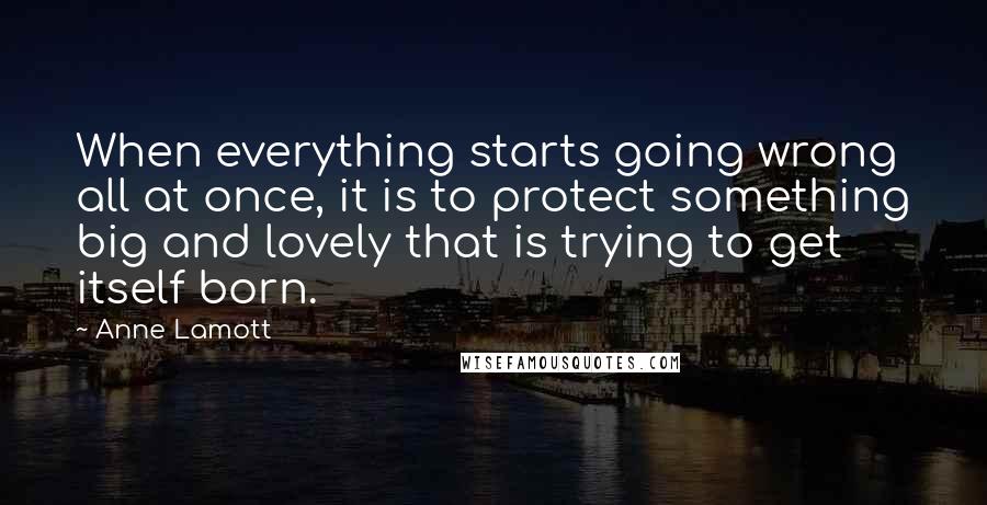 Anne Lamott Quotes: When everything starts going wrong all at once, it is to protect something big and lovely that is trying to get itself born.