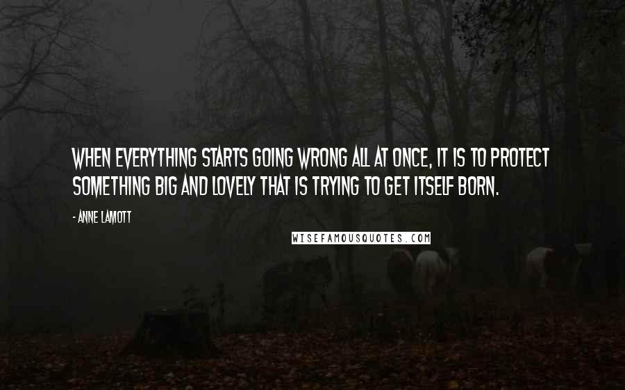 Anne Lamott Quotes: When everything starts going wrong all at once, it is to protect something big and lovely that is trying to get itself born.