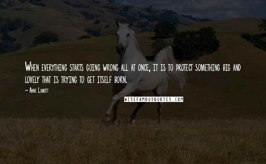 Anne Lamott Quotes: When everything starts going wrong all at once, it is to protect something big and lovely that is trying to get itself born.