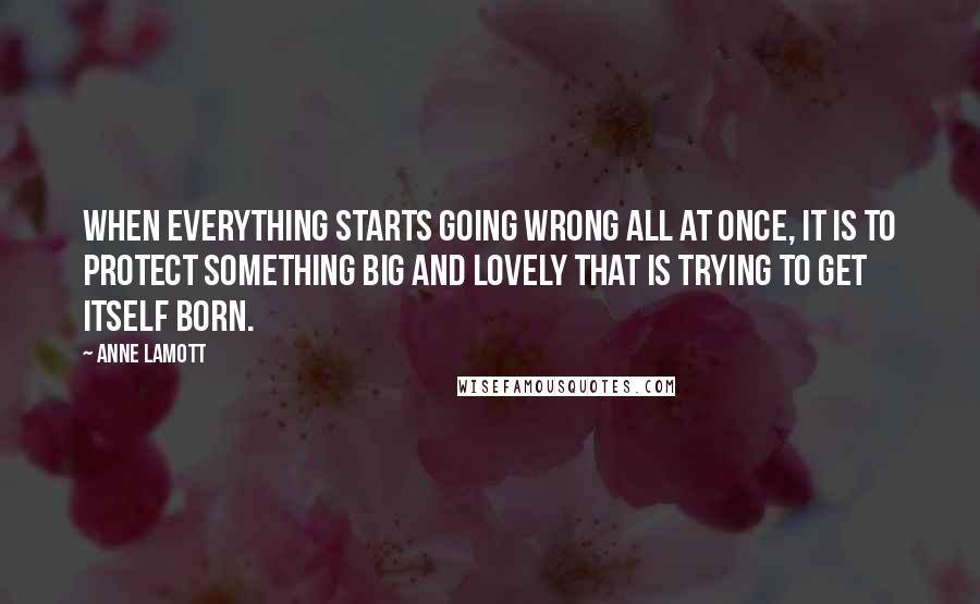 Anne Lamott Quotes: When everything starts going wrong all at once, it is to protect something big and lovely that is trying to get itself born.