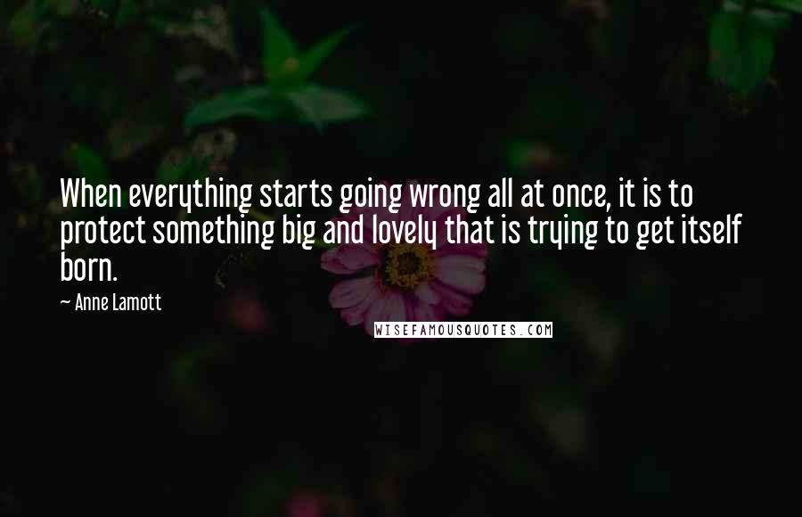 Anne Lamott Quotes: When everything starts going wrong all at once, it is to protect something big and lovely that is trying to get itself born.