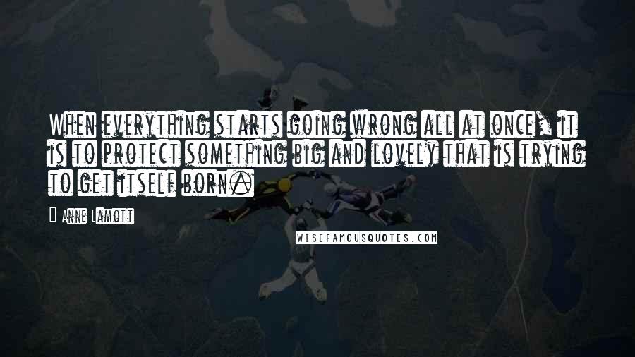 Anne Lamott Quotes: When everything starts going wrong all at once, it is to protect something big and lovely that is trying to get itself born.