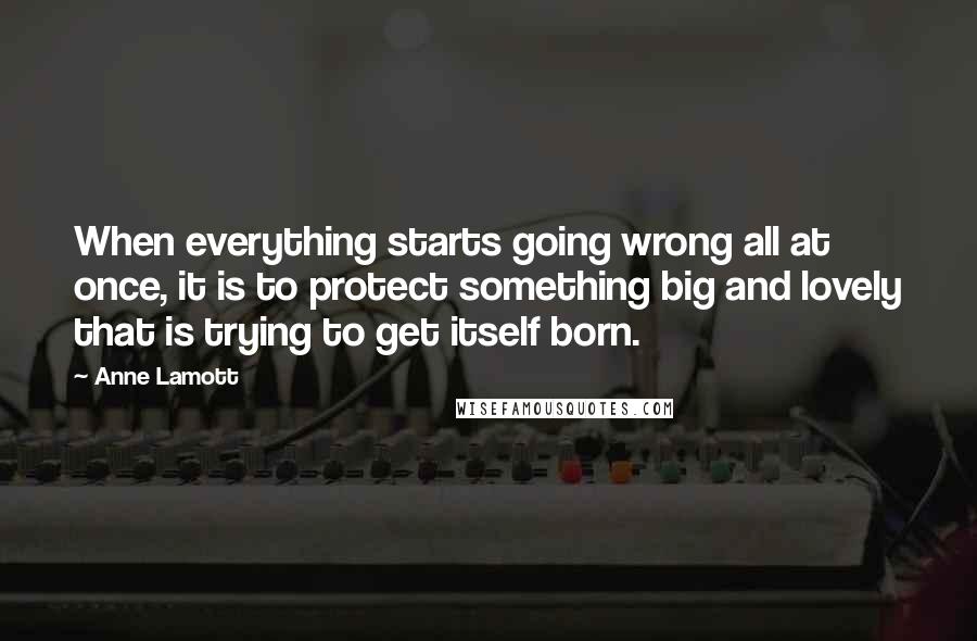 Anne Lamott Quotes: When everything starts going wrong all at once, it is to protect something big and lovely that is trying to get itself born.