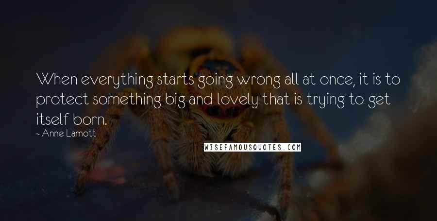 Anne Lamott Quotes: When everything starts going wrong all at once, it is to protect something big and lovely that is trying to get itself born.