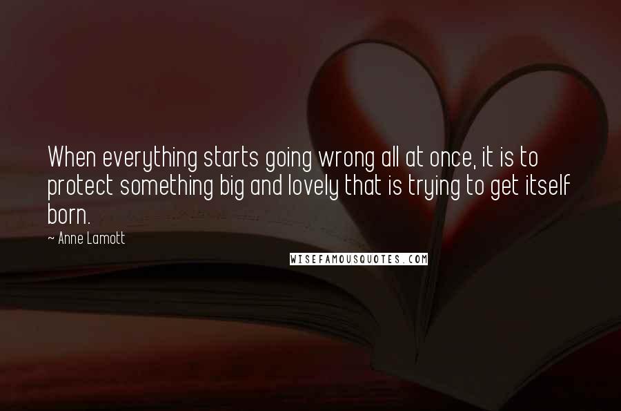 Anne Lamott Quotes: When everything starts going wrong all at once, it is to protect something big and lovely that is trying to get itself born.