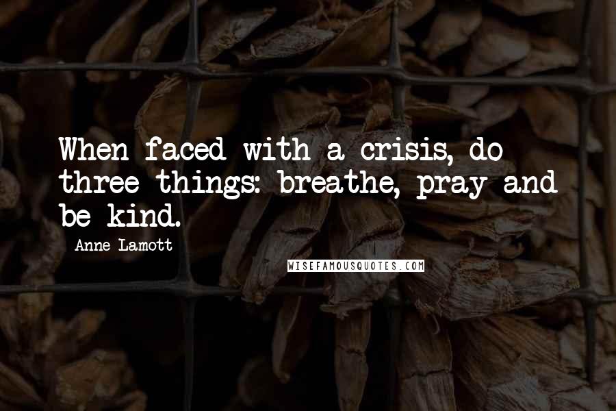 Anne Lamott Quotes: When faced with a crisis, do three things: breathe, pray and be kind.
